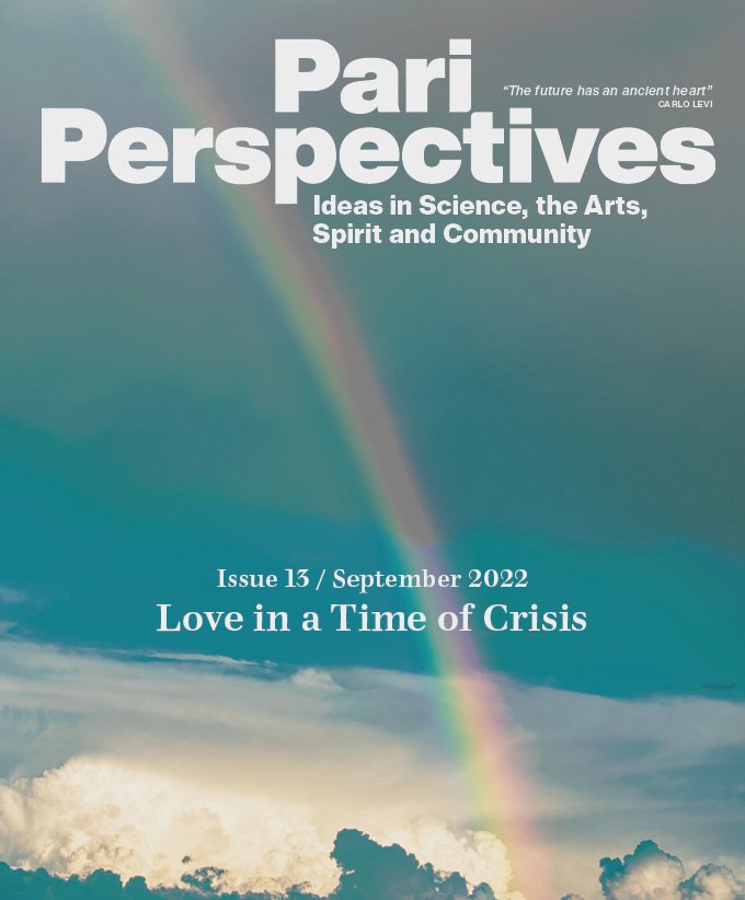 Cover for Pari Perspectives 13 - Love in a Time of Crisis
